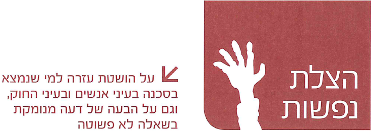 (בספר תמונה:) יסמין פיינגולד, צילום עוז מועלם, ynet
